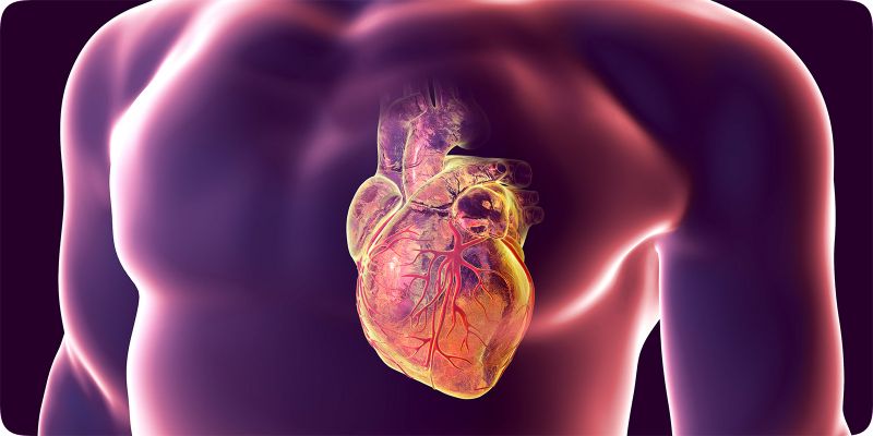 Tất tần tật các thông tin về bệnh hở van động mạch chủ