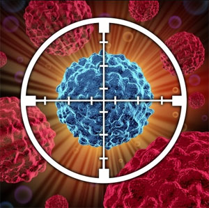 Phương pháp liệu pháp trúng đích tiêu diệt tế bào ung thư Phương pháp liệu pháp trúng đích tiêu diệt tế bào ung thư