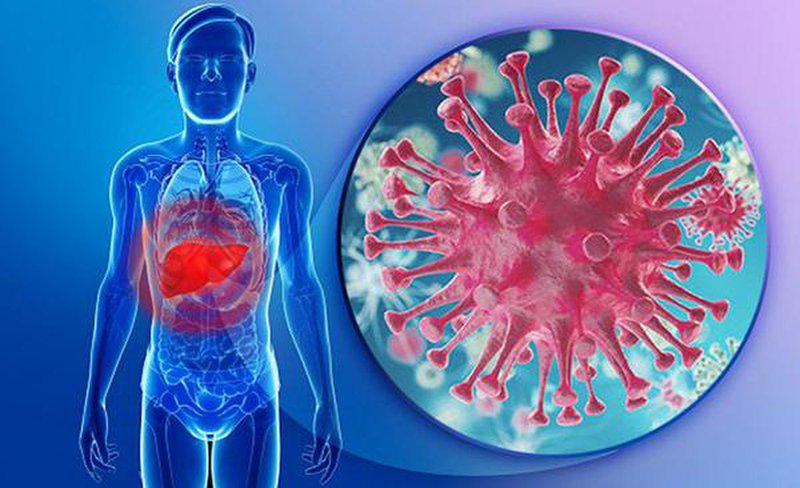 Virus viêm gan B: Những điểm cần lưu ý Viêm gan virus B và những điều cần phải biết - BIOMEDIC JSC - Reliable value