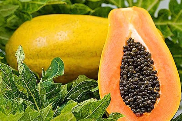 Thực phẩm giảm mỡ hiệu quả bạn cần biết Phụ nữ ăn 5 món này thúc đẩy tiêu hóa, giảm mỡ, bụng rất nhanh thon gọn