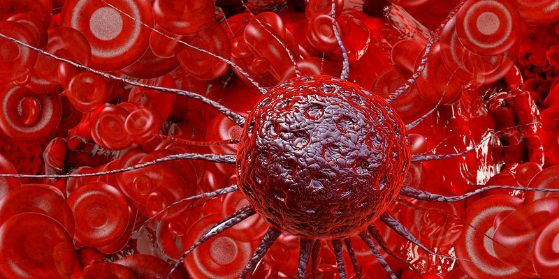 Phương pháp ghép tế bào gốc điều trị ung thư