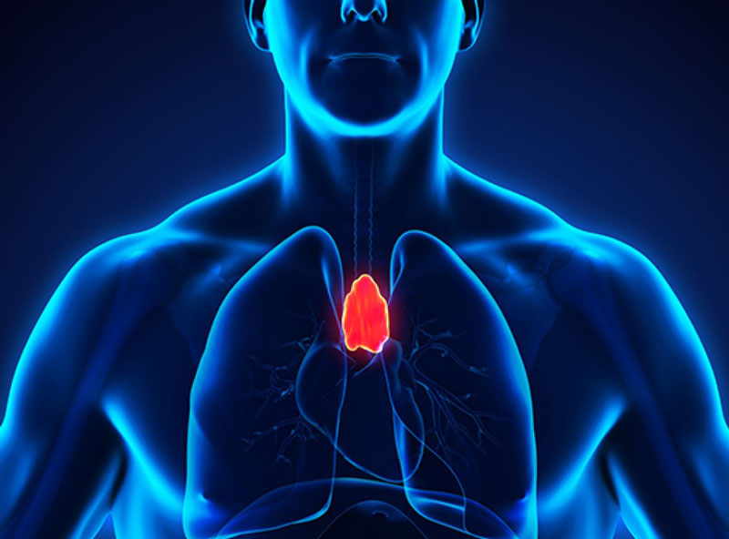 Triệu chứng và cách chữa trị u trùng thất hiệu quả Triệu chứng và cách chữa trị u trùng thất hiệu quả