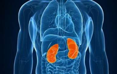 Triệu chứng và cách phòng tránh ung thư thận hiệu quả