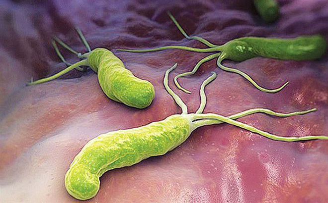 H.pylori xảy ra ở trẻ em và những tác hại không lường được